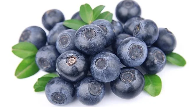 Arándanos azules antioxidantes